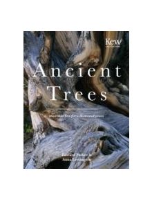 Ancient Trees - 9781849940580