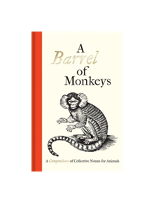 A Barrel of Monkeys - 9781851244454