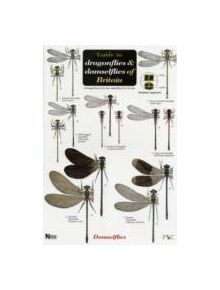 Guide to the Dragonflies and Damselflies of Britain - 9781851538638