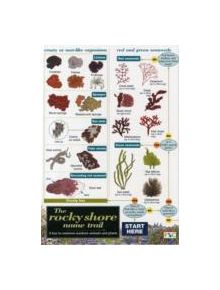 Rocky Shore Name Trail Chart - 9781851538713