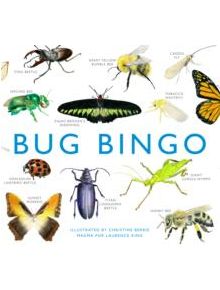 Bug Bingo - 9781856699402