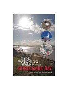 Birdwatching Walks Around Morecambe Bay - 9781874181378