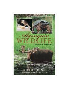 Algonquin Wildlife - 9781896219288