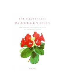 Illustrated Rhododendron, The - 9781900347990