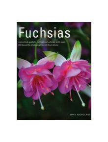 Fuchsias - 9781903141649