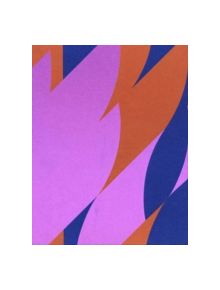 Bridget Riley - 9781905464159