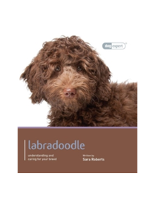 Labradoodle - Dog Expert - 9781906305734