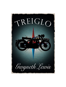 Treiglo - 9781906396947