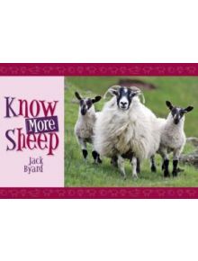 Know More Sheep - 9781906853006