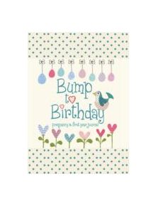 Bump to Birthday, Pregnancy & First Year Journal - 9781907048418