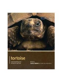 Tortoise - Pet Expert - 9781907337147