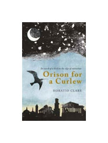 Orison for a Curlew - 9781908213570