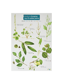 Guide to Foraging: Top 25 Edible Plants - 9781908819253