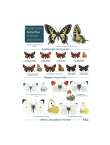 Guide to the butterflies of Britain and Ireland - 9781908819451