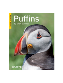 Puffins - 9781909823105