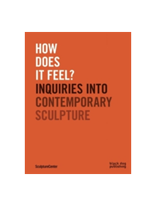 How Does It Feel? Inquiries Into Contemporary Sculpture - 9781910433683