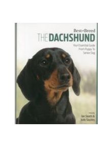 Dachshund Best of Breed - 9781910488140