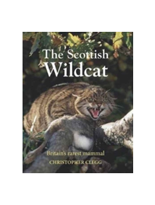 The Scottish Wildcat - 9781910723418