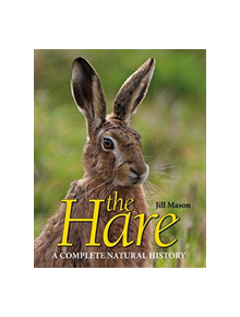 The Hare - 9781910723937