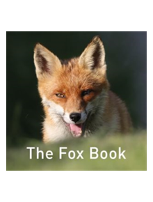 The Fox Book - 9781910862551