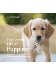 The Secret Life of Puppies - 9781911216414