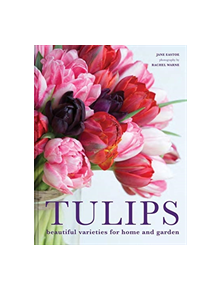 Tulips - 9781911624288