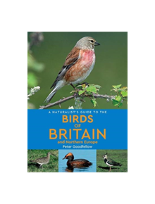 A Naturalist's Guide to the Birds of Britain and Northern Europe (2nd edition) - 9781912081219