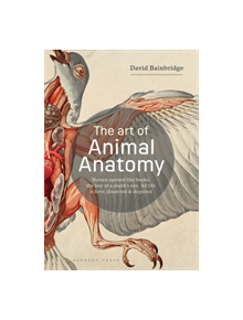 The Art of Animal Anatomy - 9781912217359