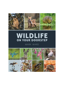 Wildlife on Your Doorstep - 9781921517747