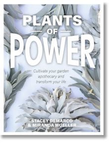 Plants Of Power - Rockpool Publishing - 9781925924350