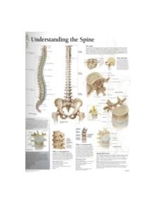 Understanding the Spine Laminated Poster - 9781930633766