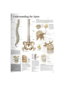 Understanding the Spine Laminated Poster - 9781930633773