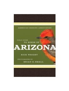 American Birding Association Field Guide to Birds of Arizona - 9781935622604