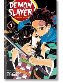 Demon Slayer: Kimetsu no Yaiba, Vol. 1