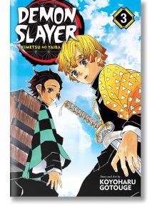 Demon Slayer Kimetsu no Yaiba, Vol. 3