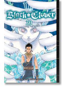 Black Clover, Vol. 30