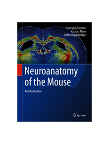 Neuroanatomy of the Mouse - 9783030198978