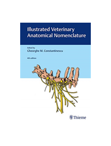 Illustrated Veterinary Anatomical Nomenclature - 9783132425170