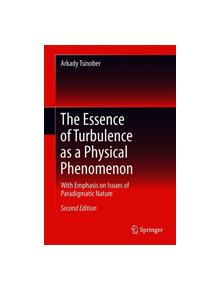 The Essence of Turbulence as a Physical Phenomenon - 9783319995304