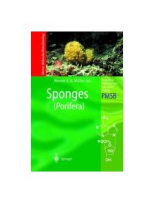 Sponges (Porifera) - 9783642624711