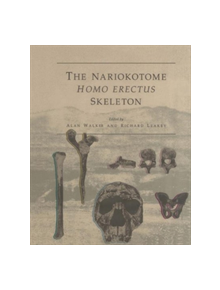 The Nariokotome Homo Erectus Skeleton - 9783662103845