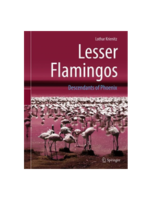 Lesser Flamingos - 9783662581629