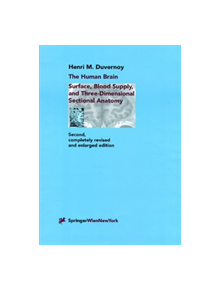 The Human Brain - 9783709174074