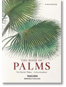 Martius. The Book of Palms - TASCHEN - 9783836556231