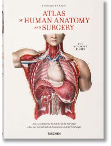 Bourgery, Atlas Anatom. - Jean-marie Le Minor - TASCHEN - 9783836568982