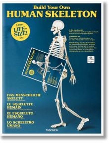 Skeleton - TASCHEN - 9783836572545