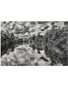 Sebastiao Salgado. Amazonia. Poster ‘Jau River’