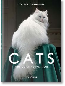 Walter Chandoha - Cats Photographs 1942-2018