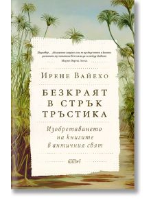 Безкраят в стрък тръстика - Ирене Вайехо - Колибри - 9786190211983