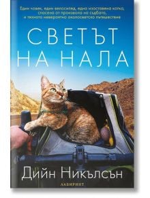 Светът на Нала - Дийн Никълсън - Лабиринт - 9786197055900